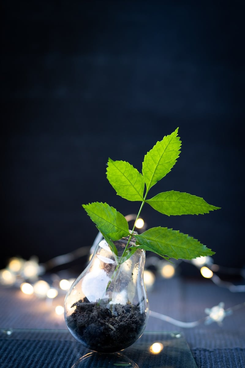 Recycled Lighting